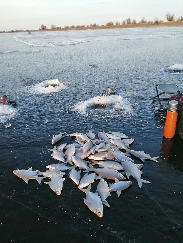 Фото 1 из отзыва о рыболовной базе Наша Фазенда