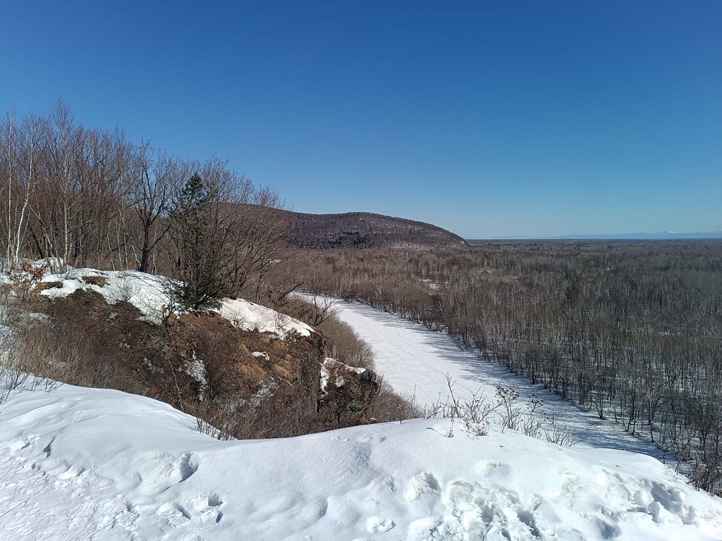 Фото из отзыва от 01.03.2025