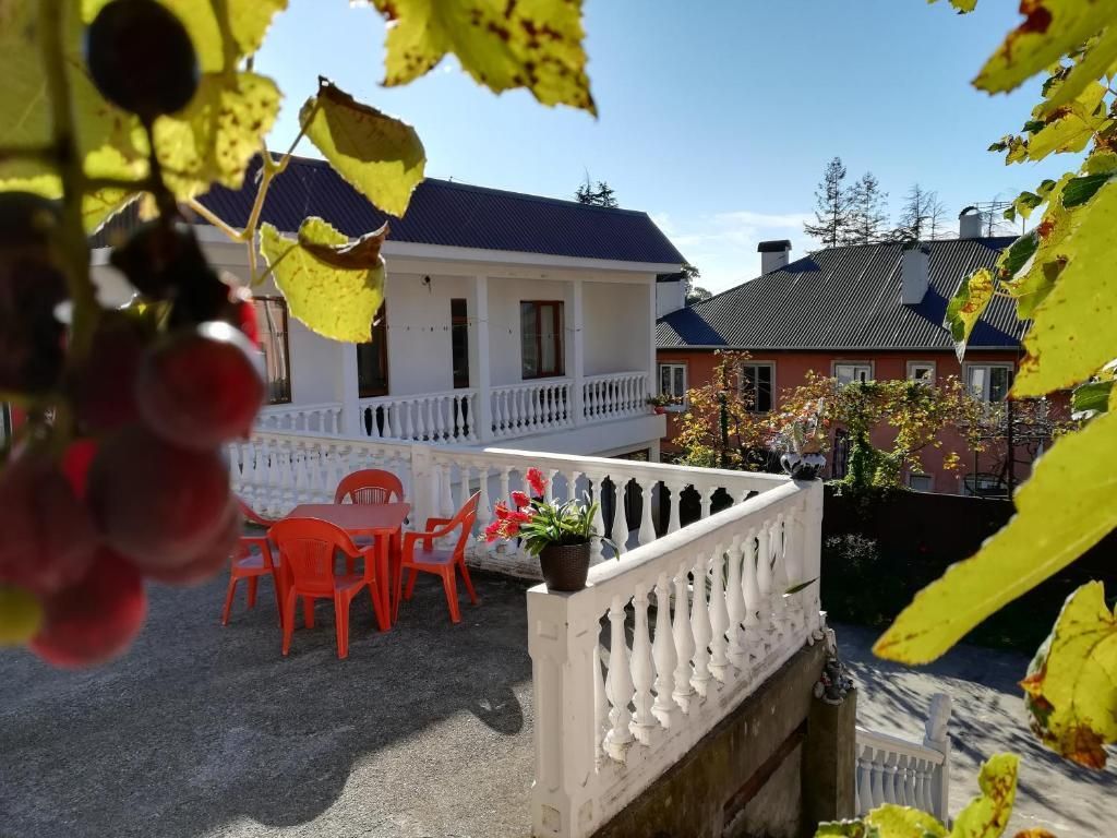 Гостевой дом Аэло, Гагра, Гагрский район