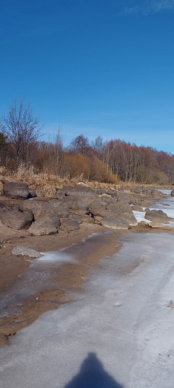 Фото из отзыва от 08.03.2025