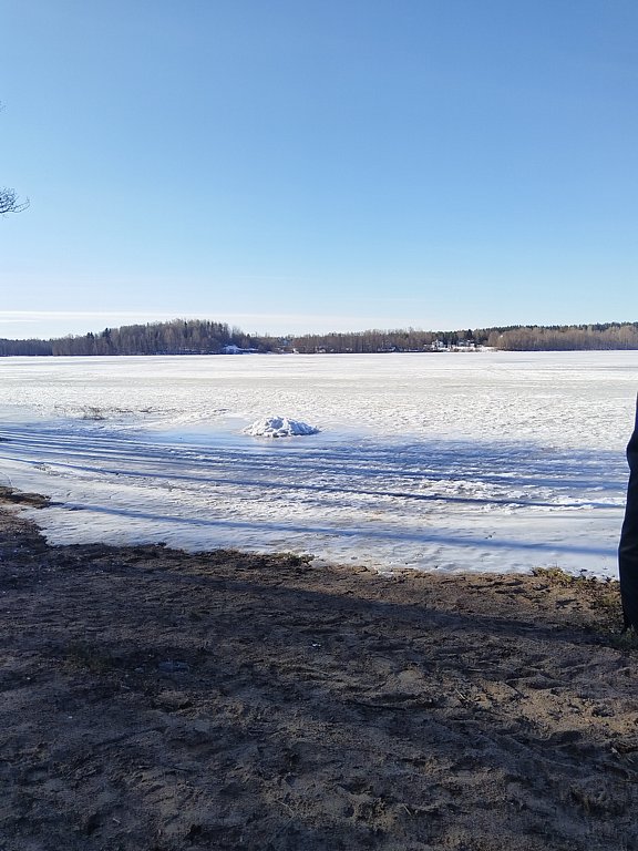 Фото из отзыва от 07.03.2025