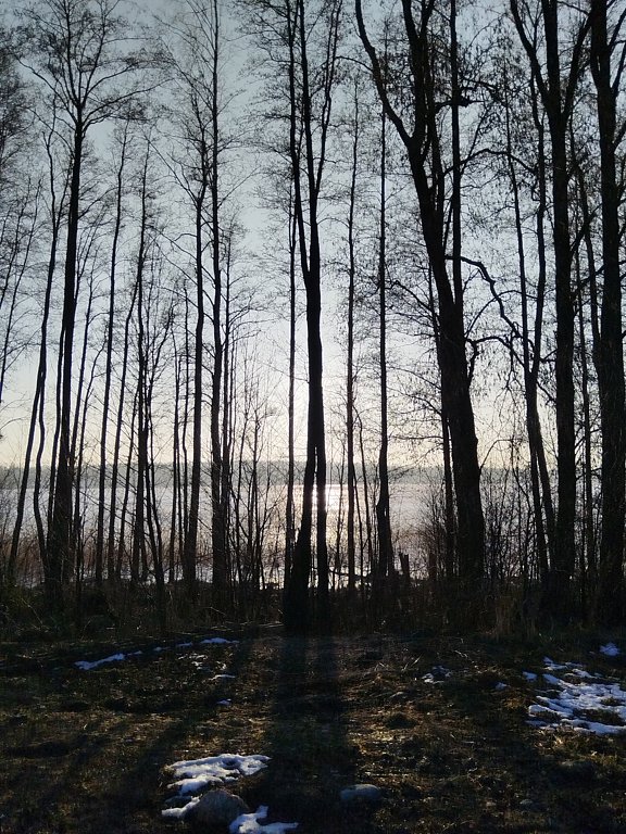 Фото из отзыва от 07.03.2025