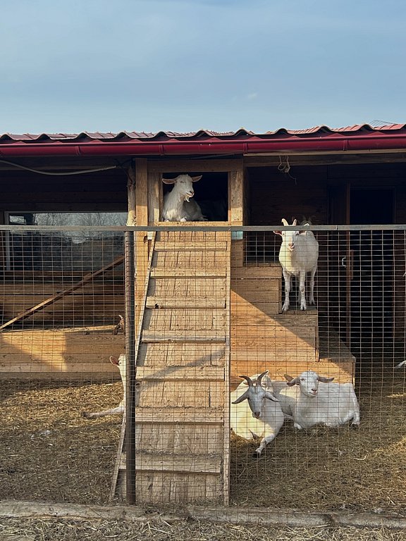 Фото из отзыва от 10.03.2025