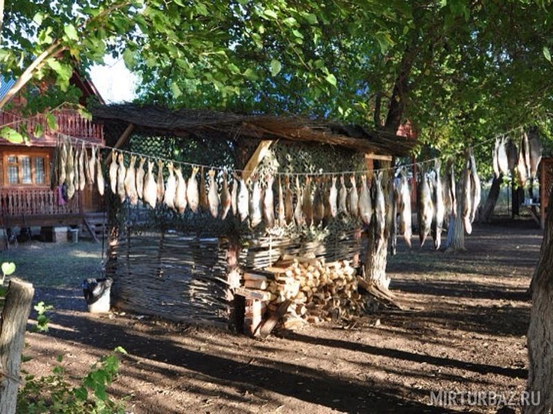 Петрунино база отдыха царская