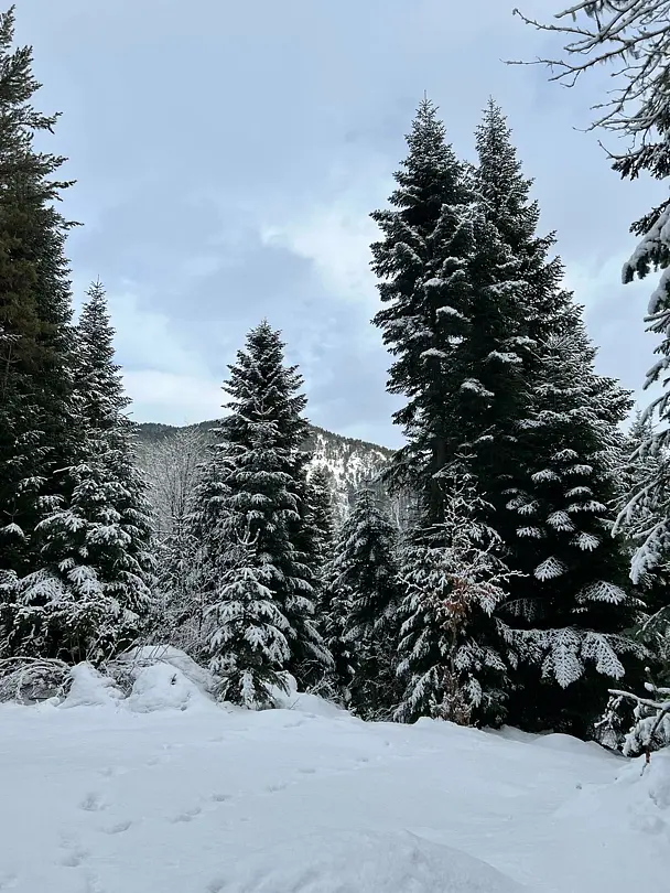 Greenhouse 1599, Республика Карачаево-Черкесия: фото 5