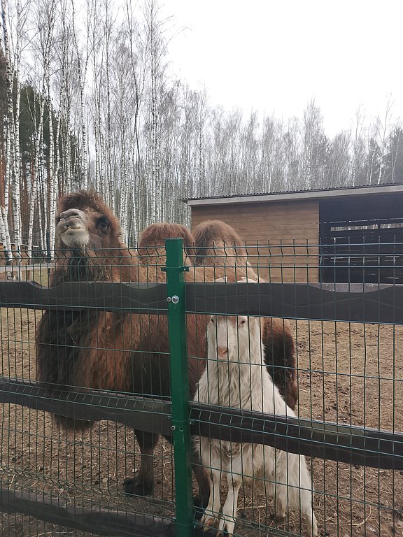 Фото из отзыва от 11.03.2025