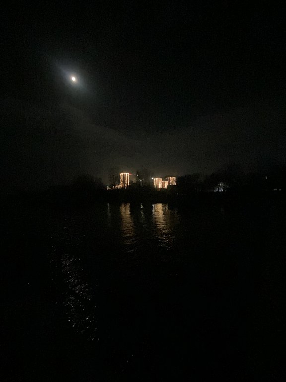 Фото из отзыва от 12.03.2025