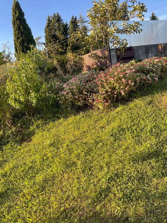 Гостевой дом Абхазская сказка, Сухум, Сухумский район