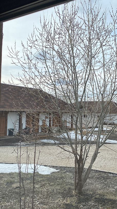 Фото 2 из отзыва о базе отдыха Хутор Своя Ферма