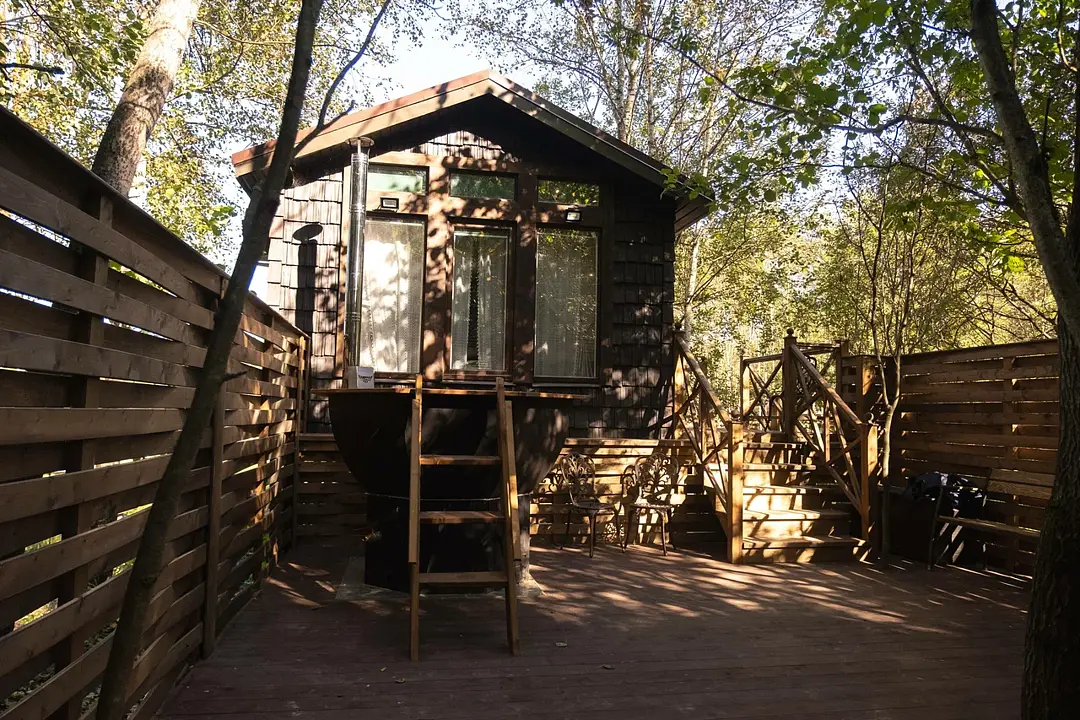  В кронах, Московская область: фото 3