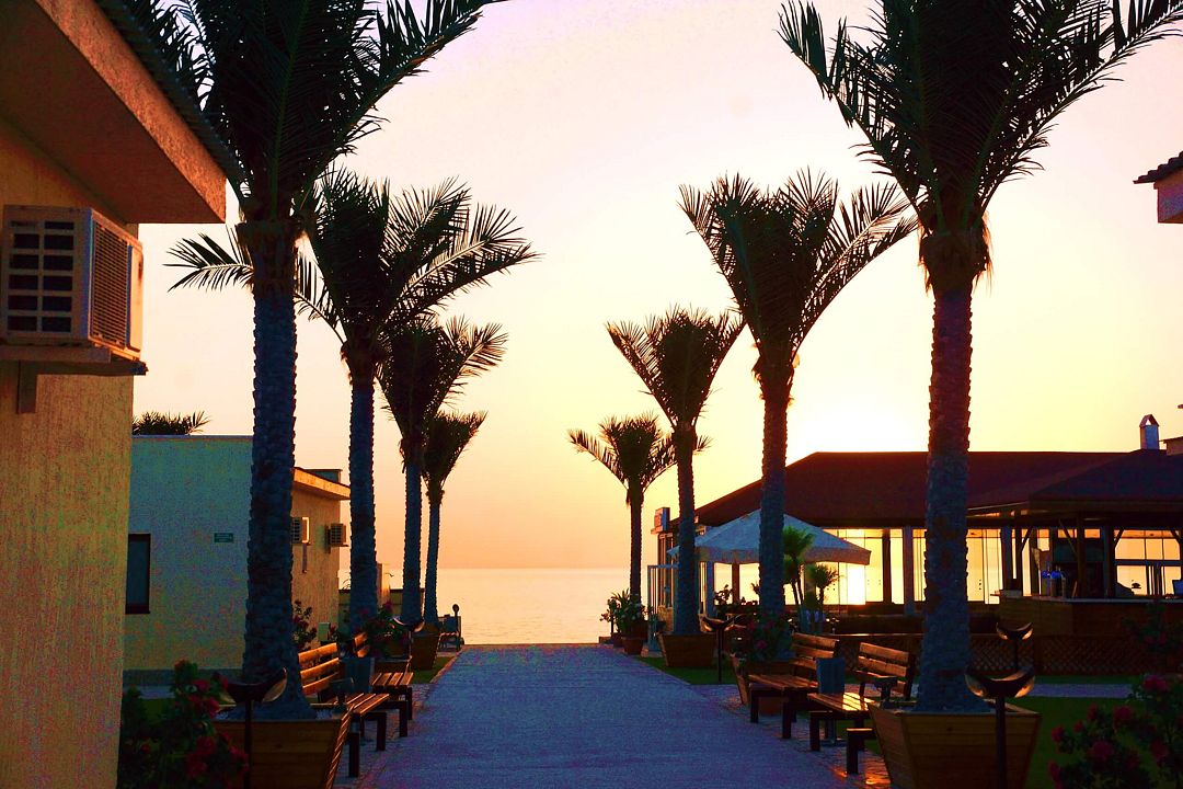 Tree of Life, Мангистауская область : фото 3