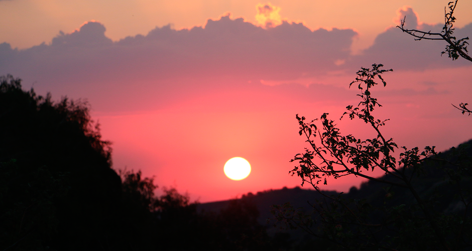 База отдыха АБЫЛАЙ ХАН, Талгарский, Алматинская область