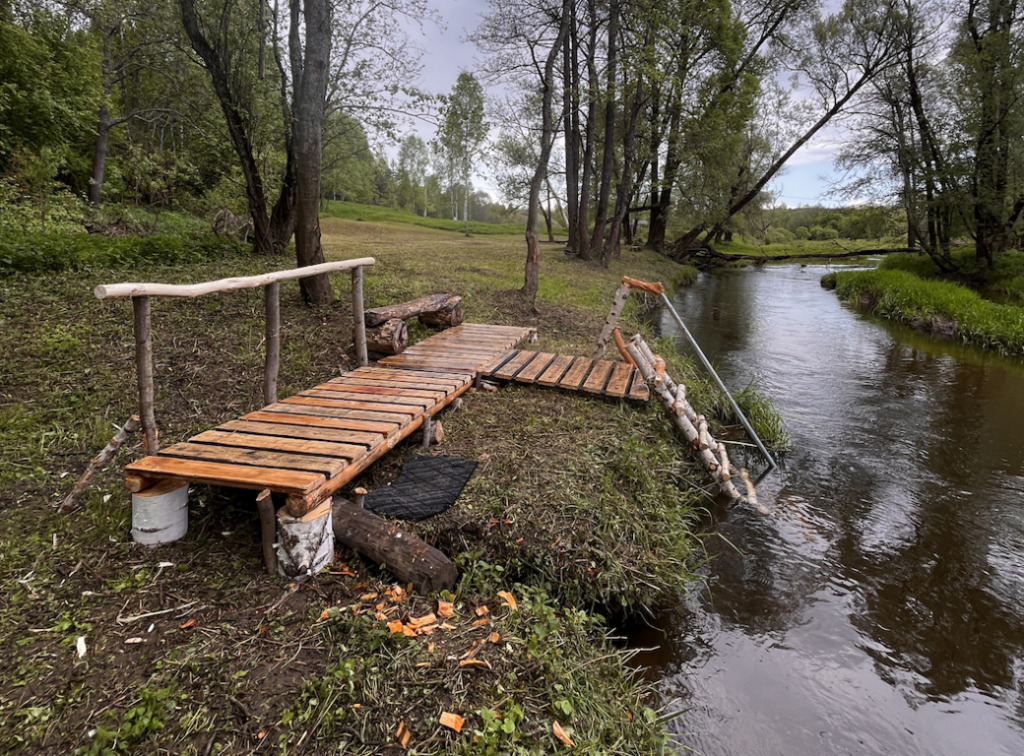 Звездный лес, Калужская область: фото 5
