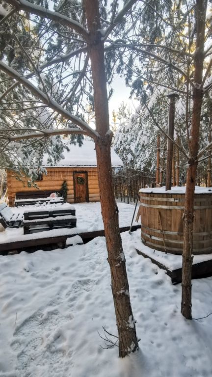 Дом О, Дни в Лесу, Калужская область: фото 3