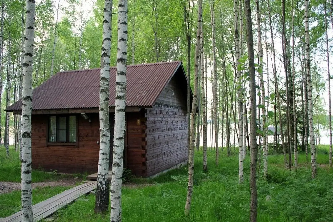 Великое озеро, Новгородская область: фото 5