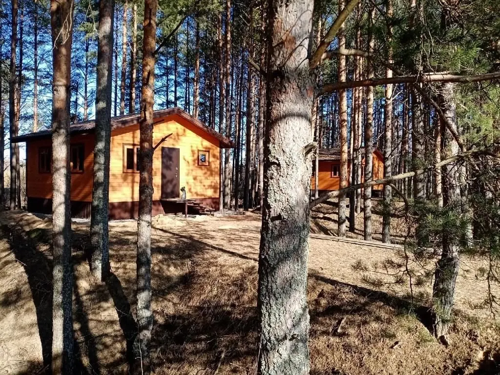 Глэмпинг Мыльцевка, Кимры, Тверская область