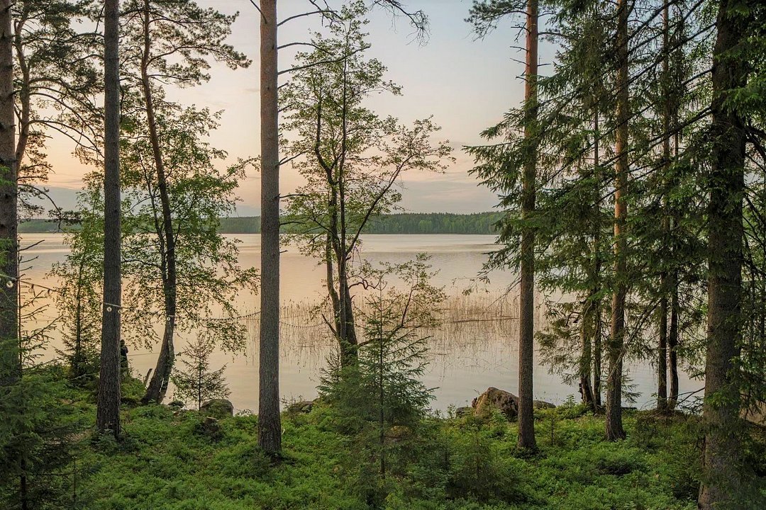Загородные дома Ключ. Пионерское, Ленинградская область: фото 4