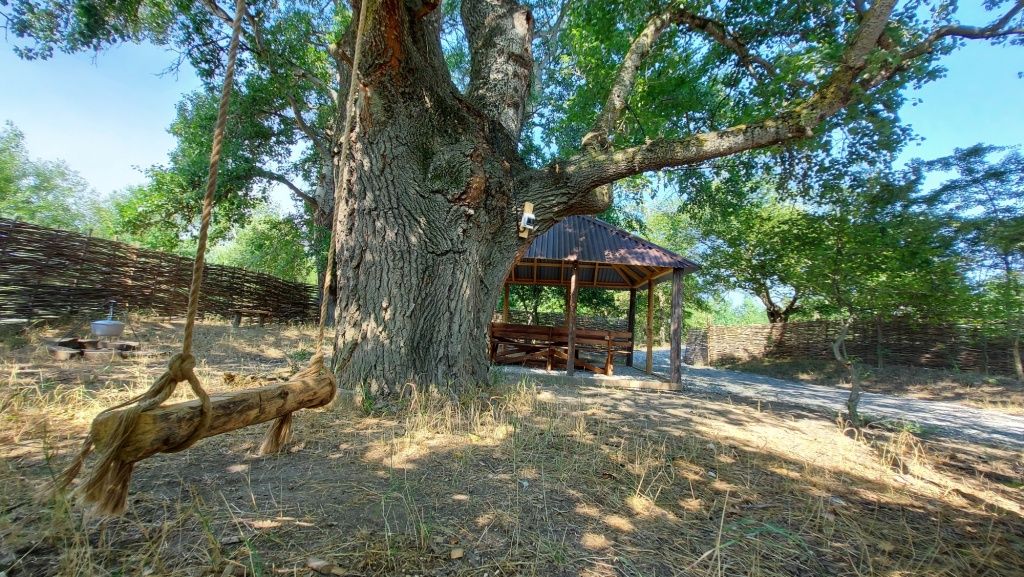 База отдыха Беной Тревел "Озеро", Чеченская Республика: фото 5