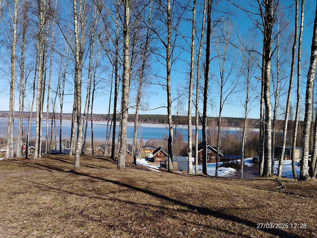 Фото из отзыва от 24.03.2025