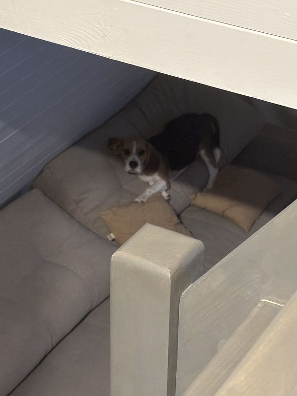 Фото 2 из отзыва о загородном комплексе Scandi