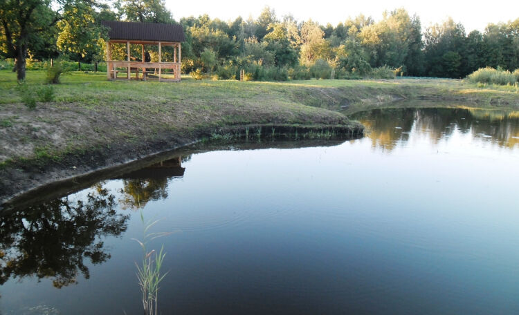 Тихие воды, Брестская область: фото 4