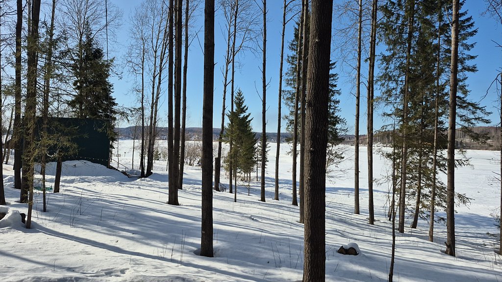 Фото из отзыва от 29.03.2025