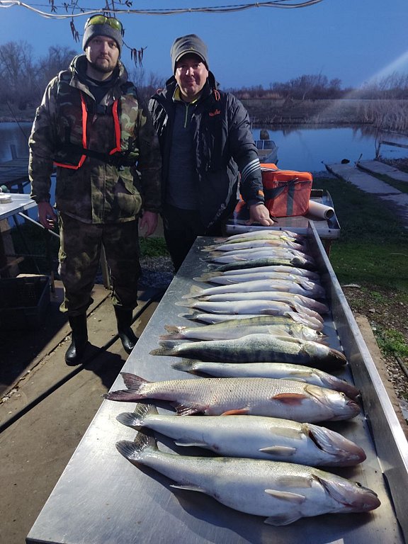 Фото из отзыва от 30.03.2025