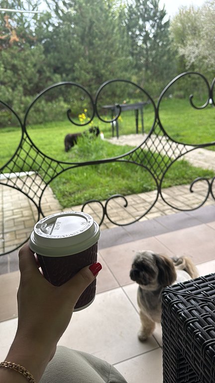 Фото из отзыва от 05.04.2025