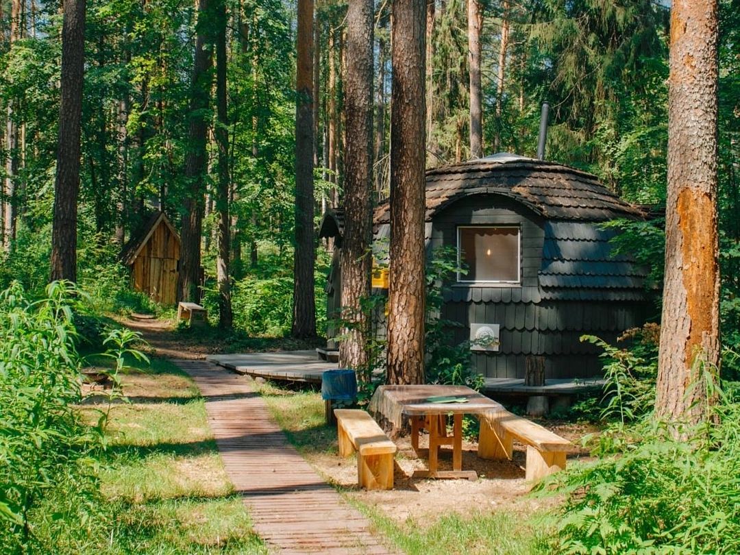 Эконом 4-местный (Шишкин дом)