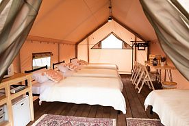 Сафари -тент №4: 4 односпальные кровати, Глэмпинг Abrau Glamping, Абрау-Дюрсо