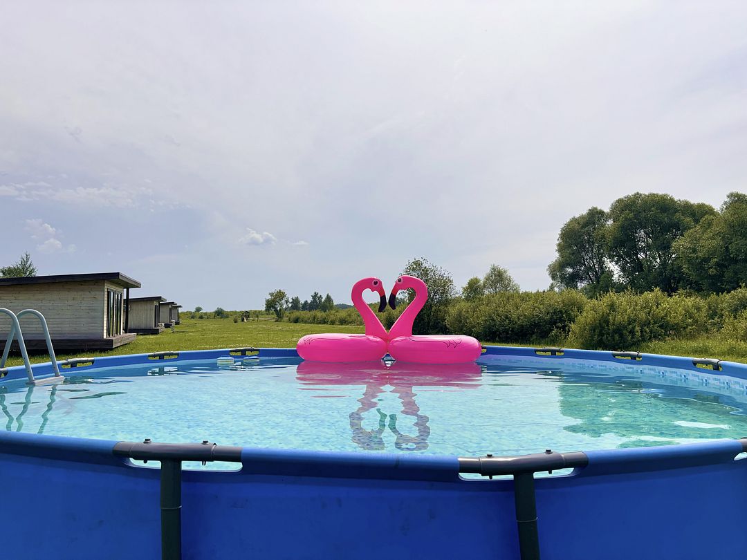 Славная, Московская область: фото 4