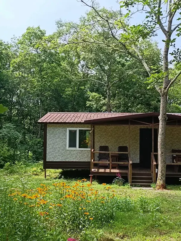 Камень Льва, Приморский край: фото 3