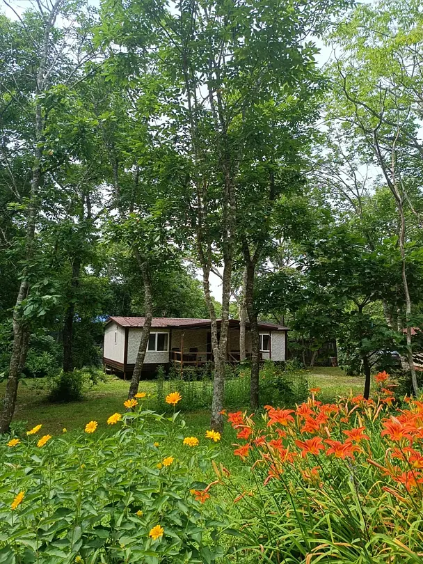 Камень Льва, Приморский край: фото 2