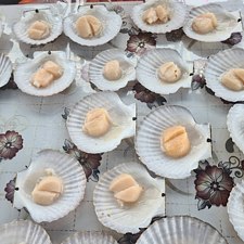 Мореферма
