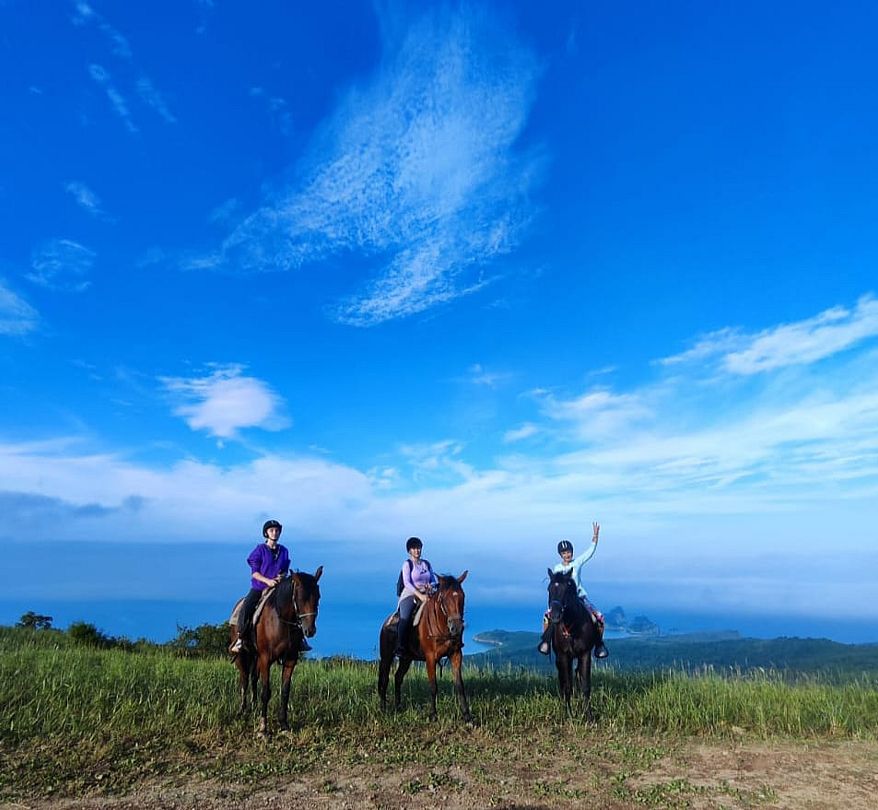 Конные прогулки