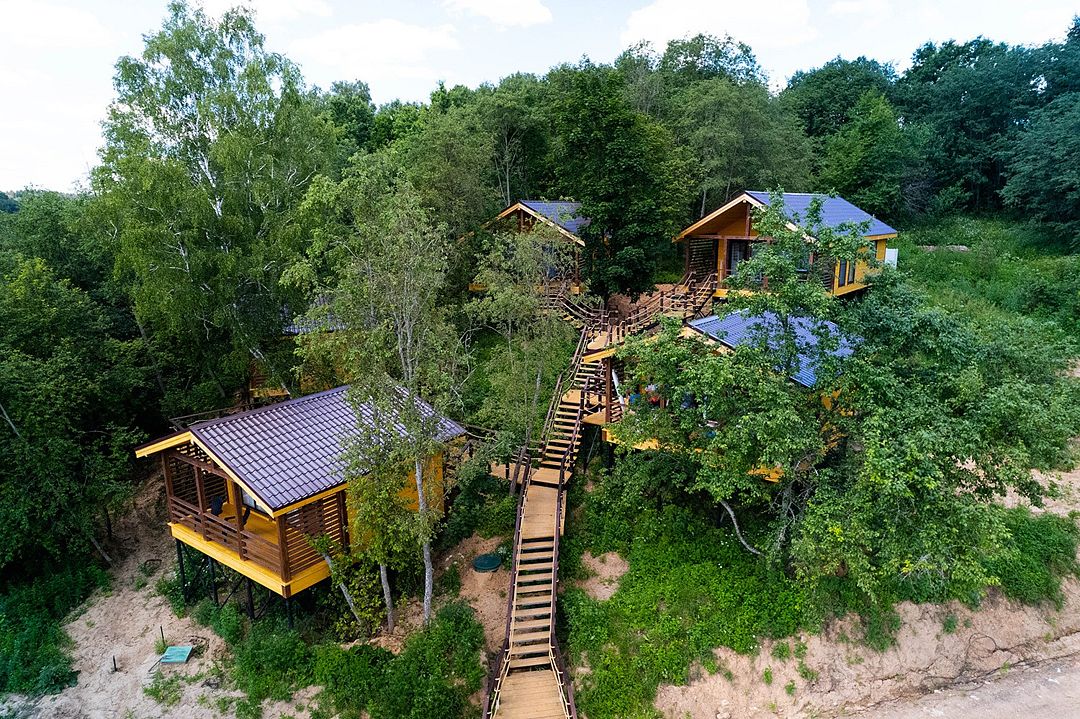 Веселые гуси, Московская область: фото 3