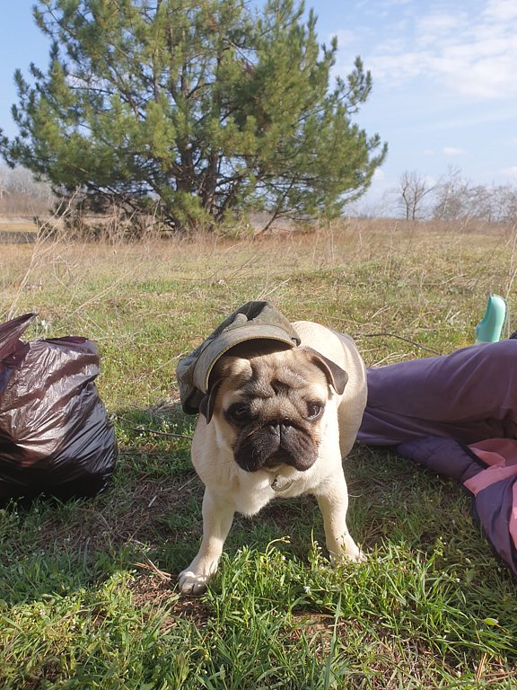 Фото из отзыва от 29.03.2025