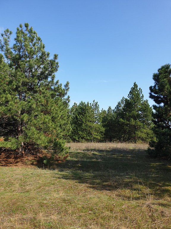 Фото из отзыва от 29.03.2025