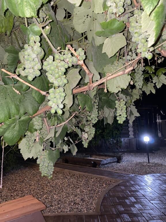 Шале Юрта, Тверская область: фото 5