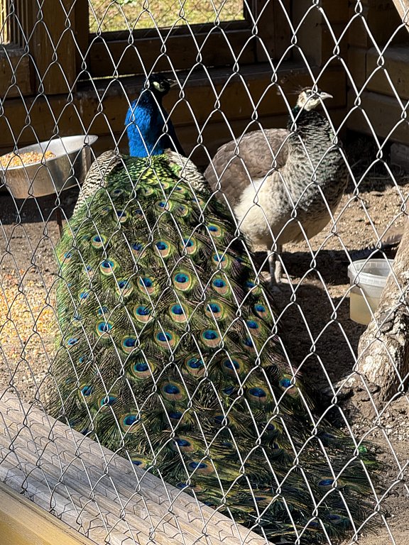 Фото из отзыва от 10.04.2025