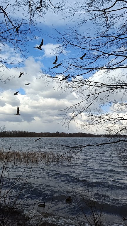 Фото из отзыва от 05.04.2025