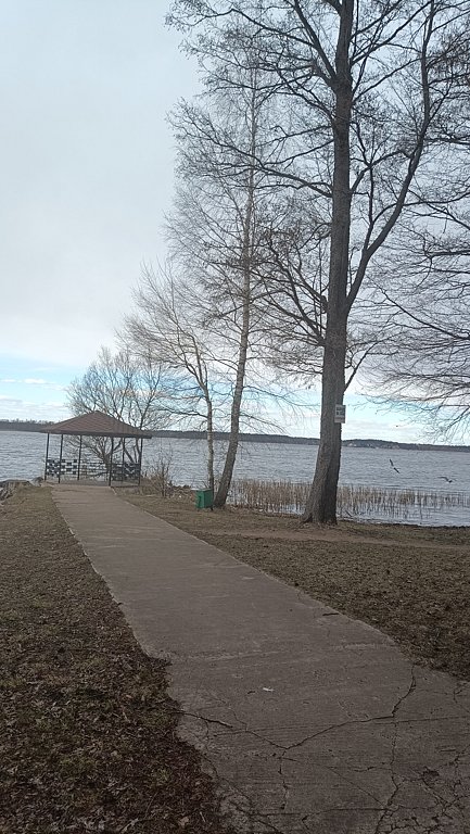 Фото из отзыва от 05.04.2025