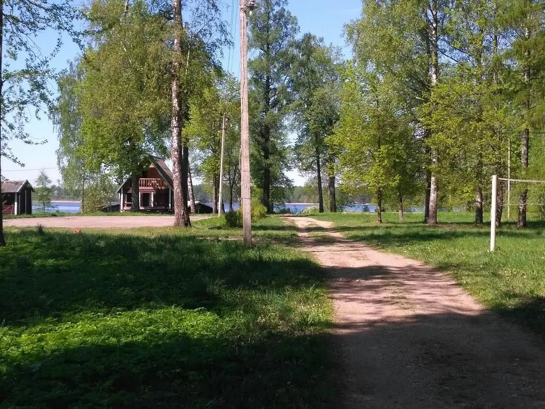 Руднёвка, Тверская область: фото 3