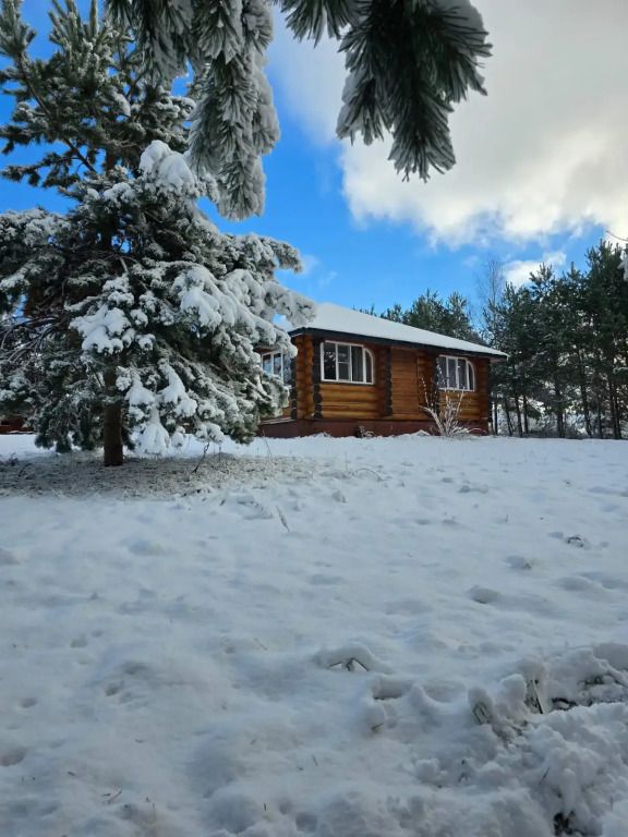 Частный дом Уница 90кв.м на первой линии озера Селигере, Осташков, Тверская область