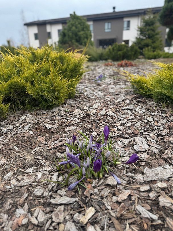 Фото 2 из отзыва о туристическом комплексе Экопарк Поляны