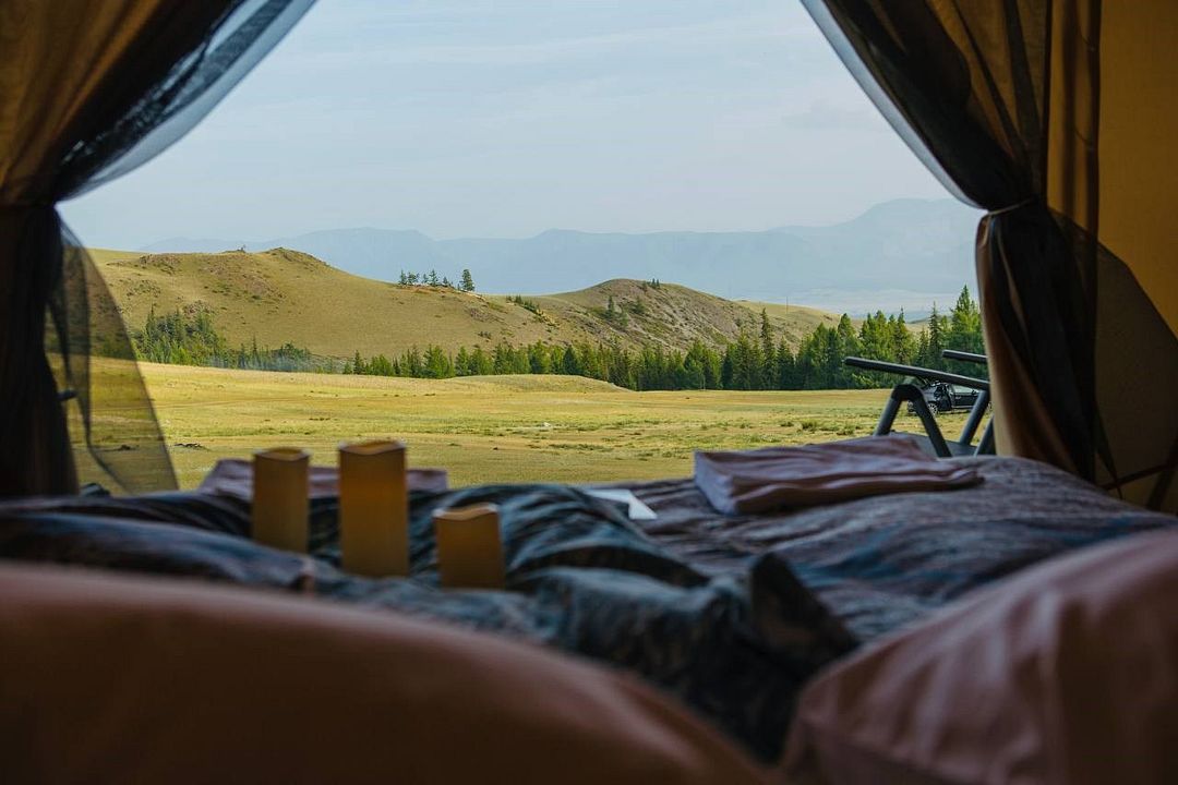 Выше гор Курай , Горный Алтай (Республика Алтай): фото 4