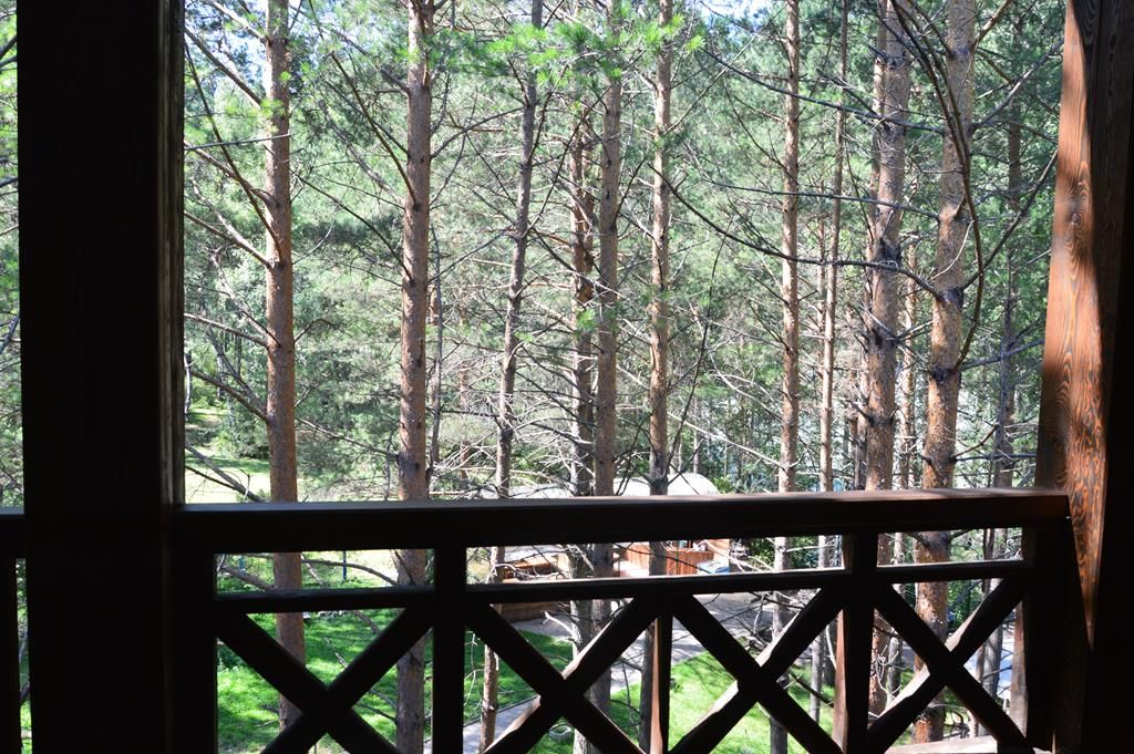 Апартаменты 4-местный 2-комнатный (№29)