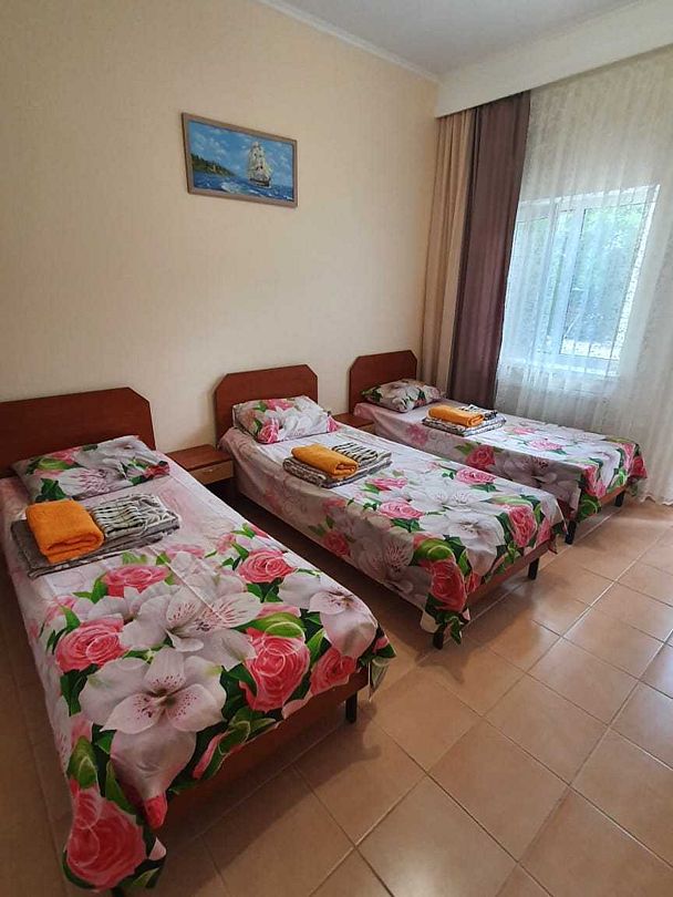 Стандартный 3-местный 1-комнатный (с кондиционером)