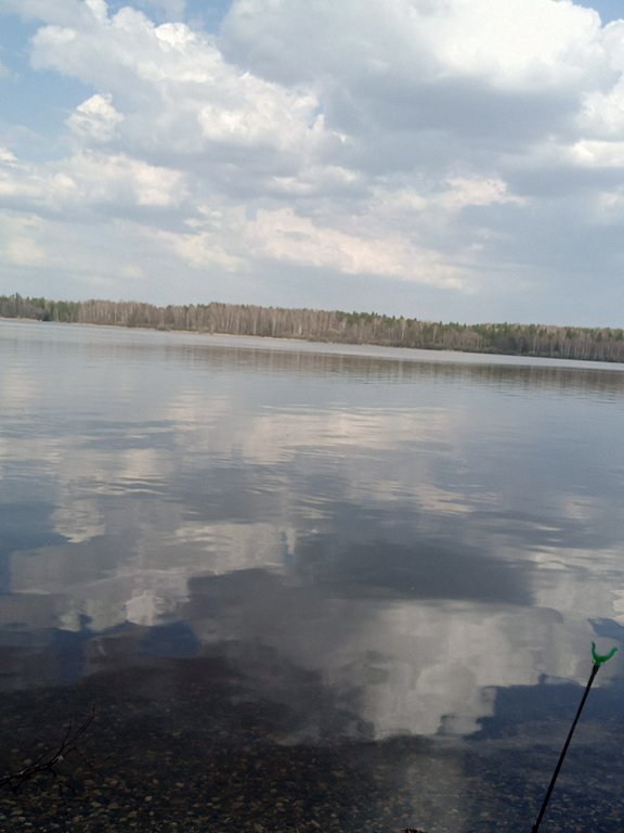 Фото из отзыва от 20.04.2025