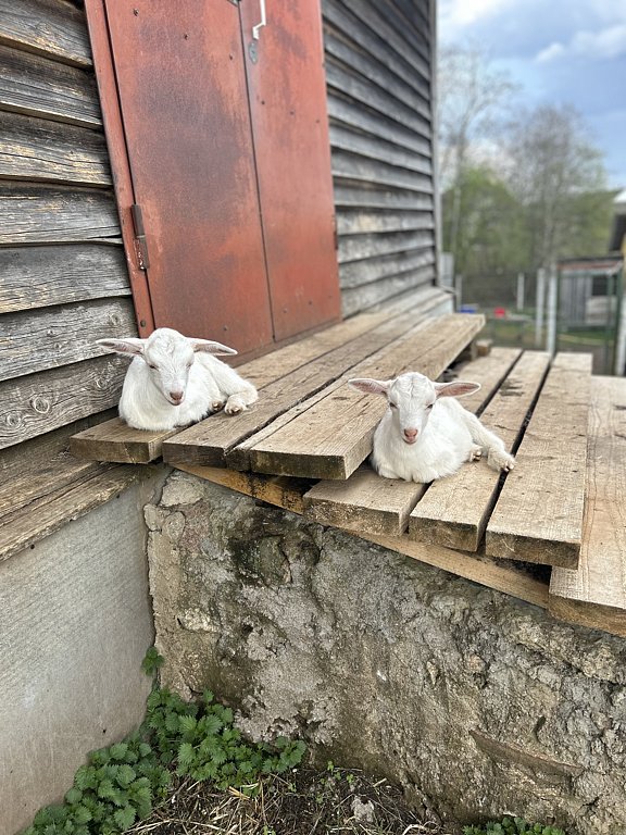 Фото из отзыва от 20.04.2025